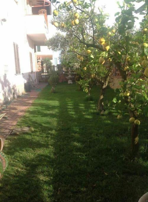 Su Suergiu Villa San Giovanni Suèrgiu Exterior foto